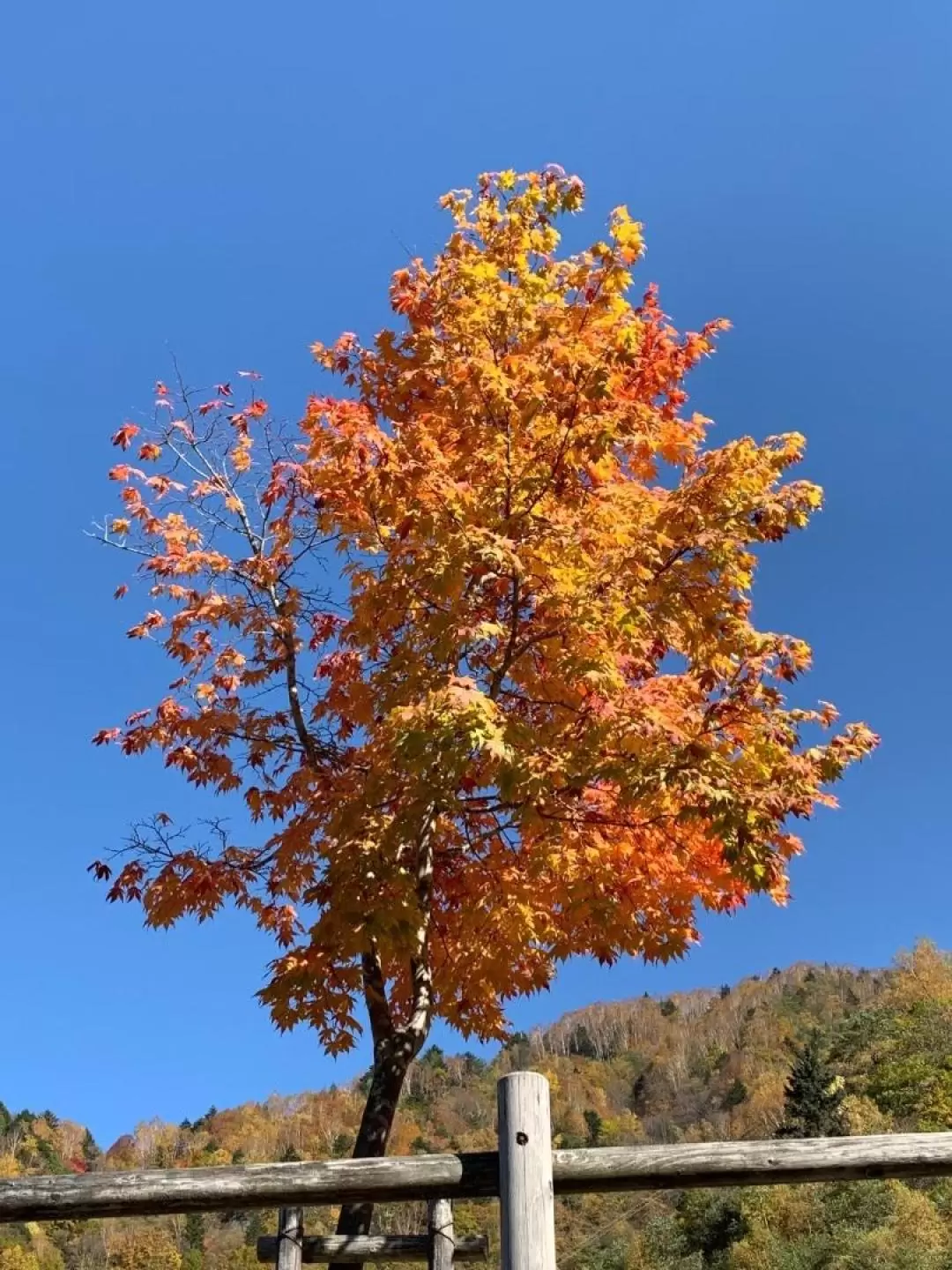 高山健行之旅