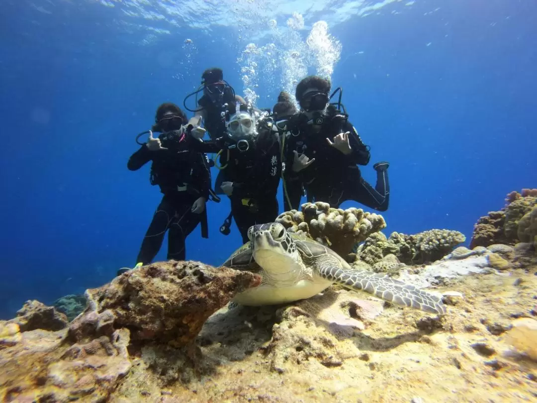 Diving Experience in Green Island, Taitung by Venus Dive Center