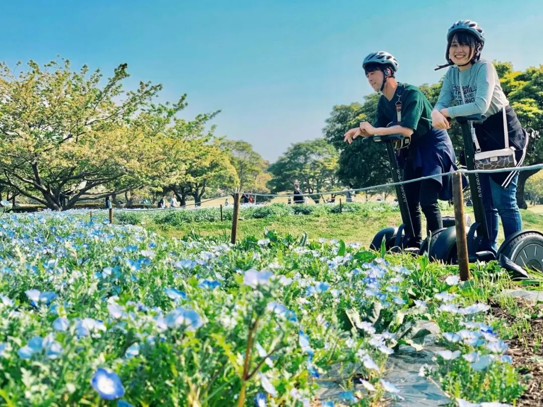 Uminonakamichi Seaside Park Segway Tour in Fukuoka