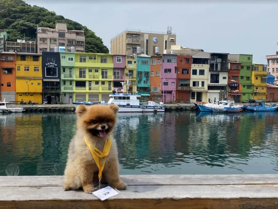 北東海岸 インスタグラムツアー（新北）