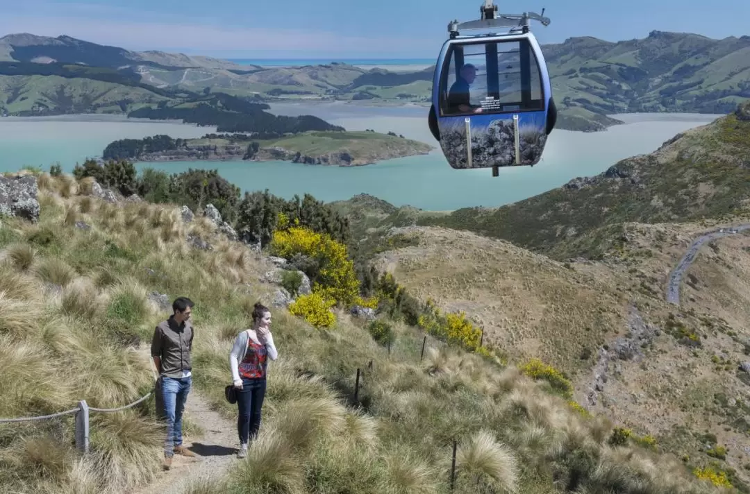 Christchurch Gondola Ticket