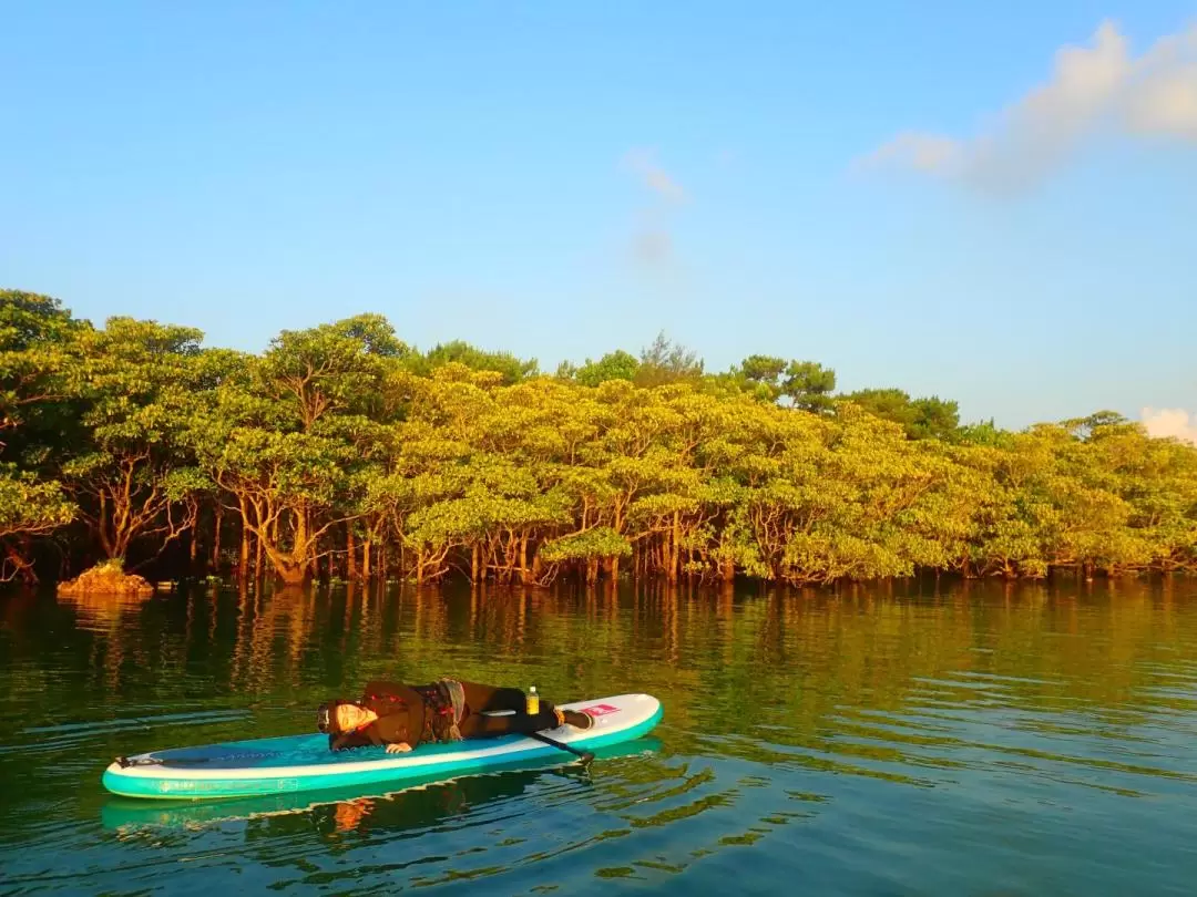 SUP Canoe Experience in Ishigaki Island