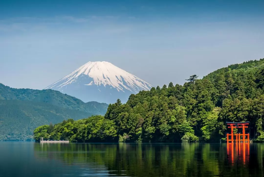 Hakone Shrine & Lake Ashi & Owakudani Private Car Tour 