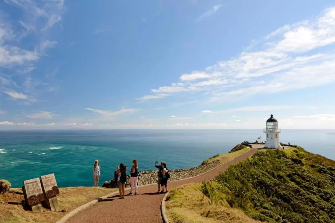 Cape Reinga and Ninety Mile Beach Full Day Tour