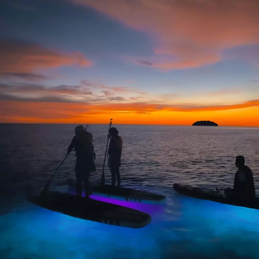 Night Glow Stand Up Paddle Experience in Kota Kinabalu