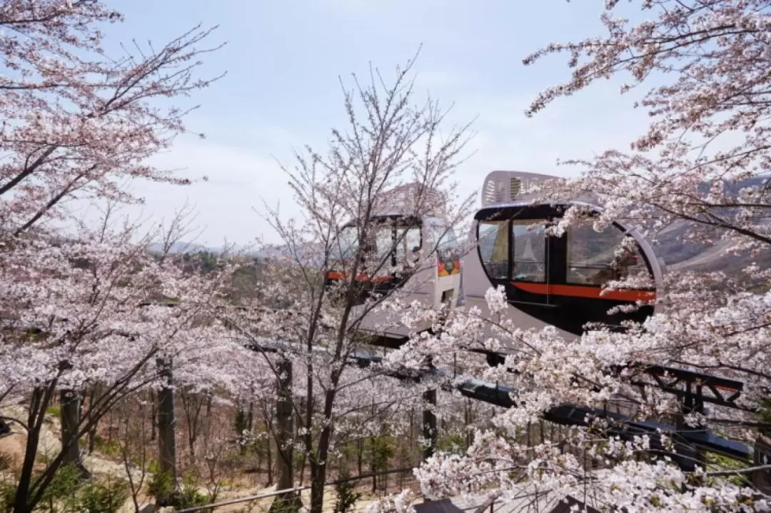 Gyeonggi-do Private Chartered One Day Tour