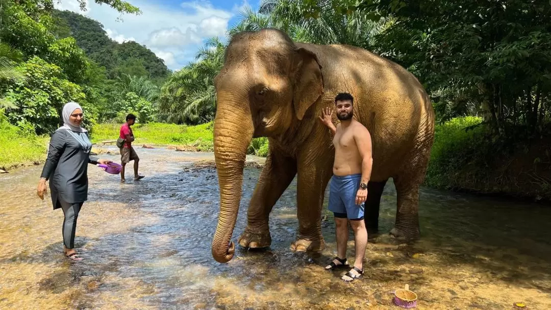 Half-Day Tour to Krabi Elephant Care House Experience