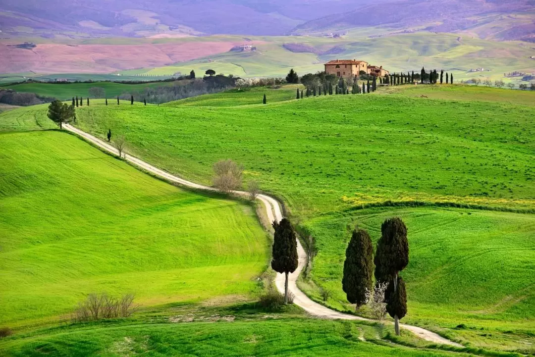 Val d'Orcia Tour from Florence