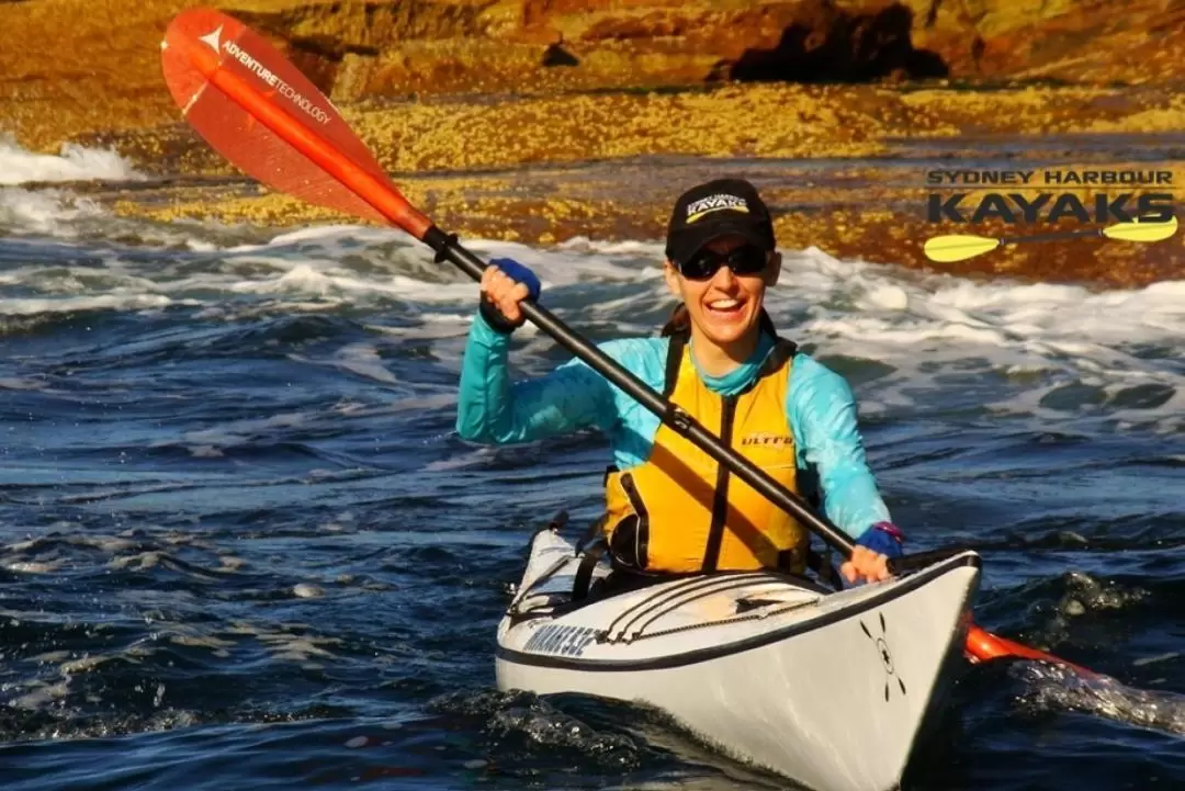 雪梨中港單人獨木舟租借（Sydney Harbour Kayaks 提供）