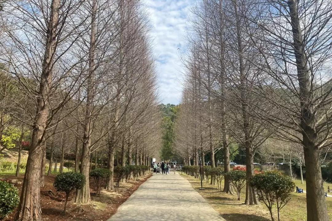 The Green Symphony Ticket in Hsinchu 