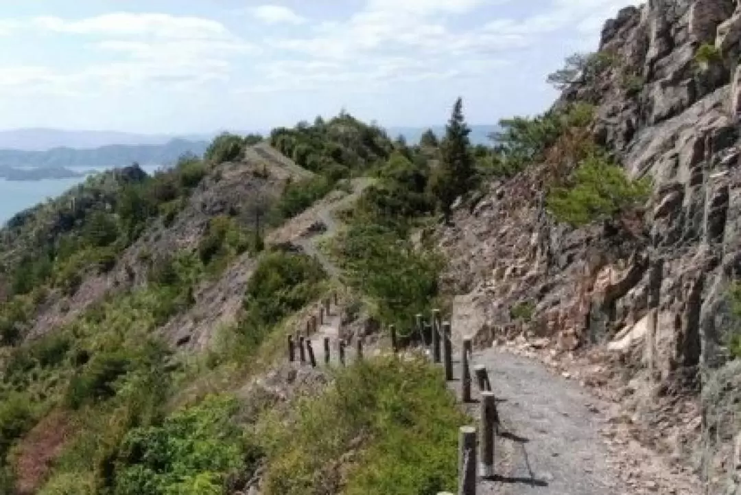 島波市安神山登山健行體驗