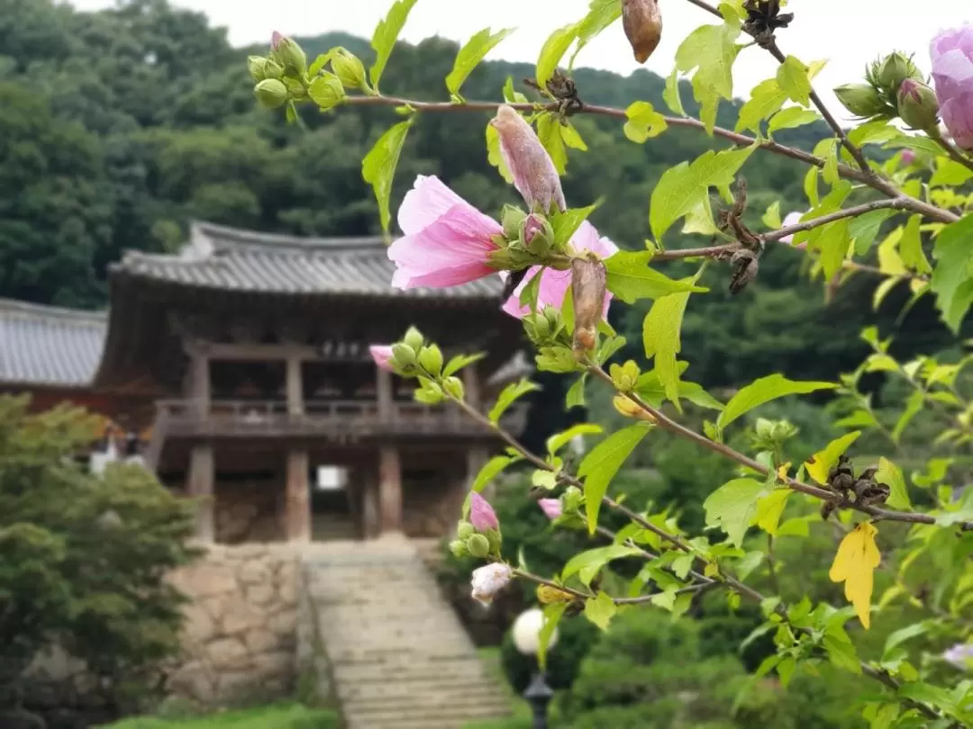 安東 世界遺産日帰りツアー（ソウル発）