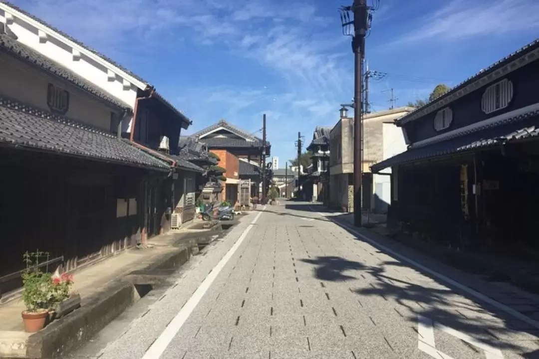 One Day Private Walking Guided Tour in Asuka