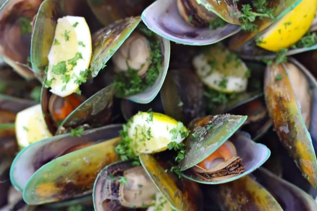 Marlborough Greenshell Mussel Cruise