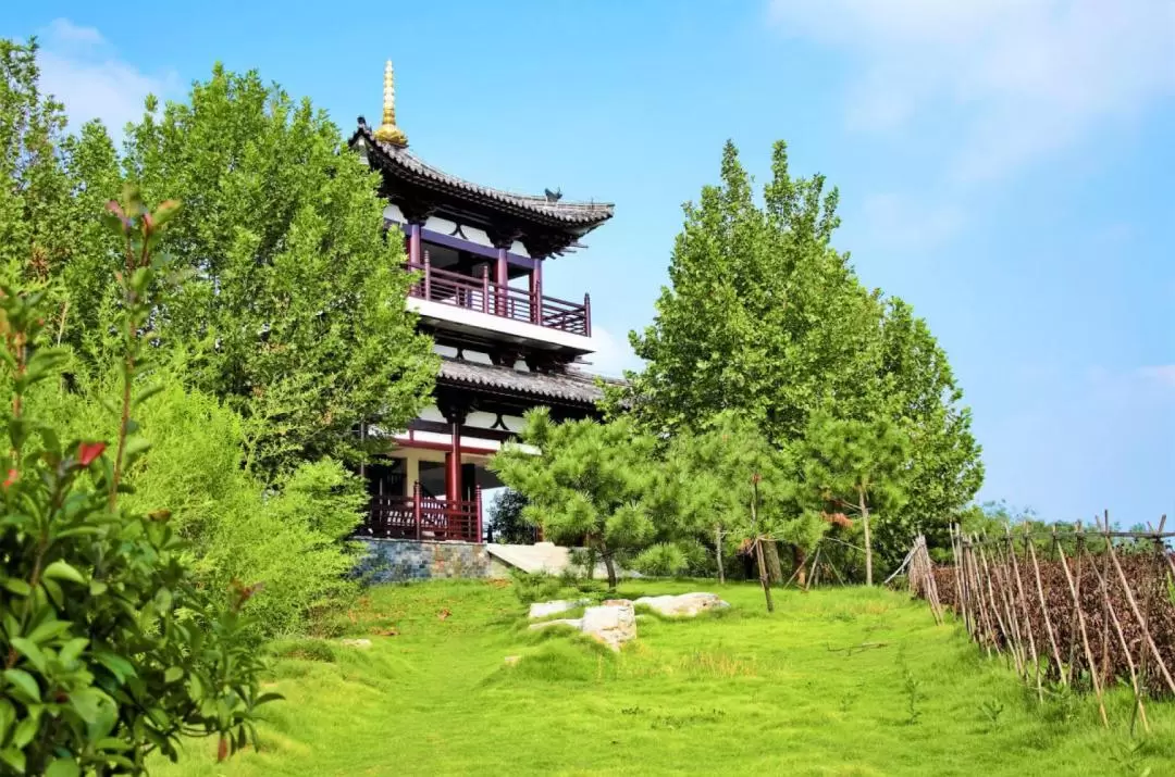 奈良公園・東大寺・宇治・源氏の湯 日帰りツアー（大阪発）