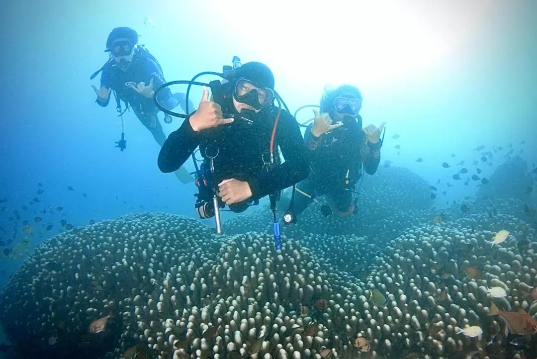 Kenting Underwater Diving Experience