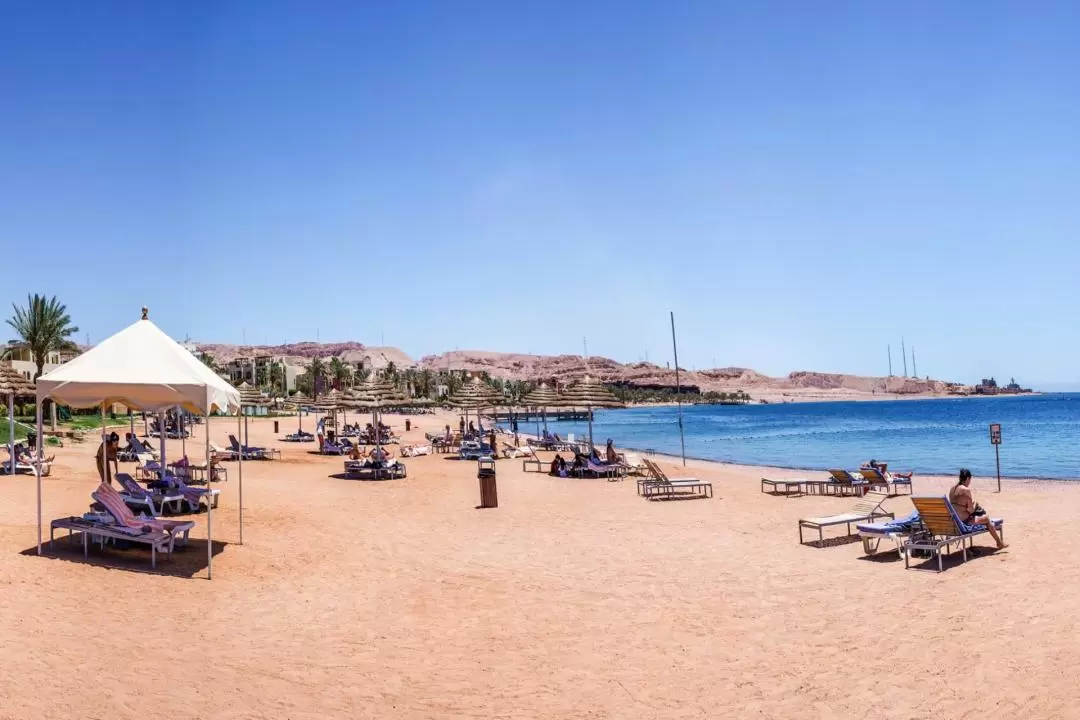 Aqaba Red Sea Glass Bottom Boat Snorkeling Experience