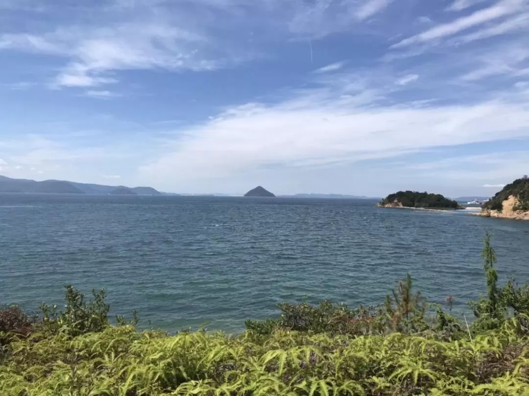 直島 日帰りサイクリングツアー（香川）