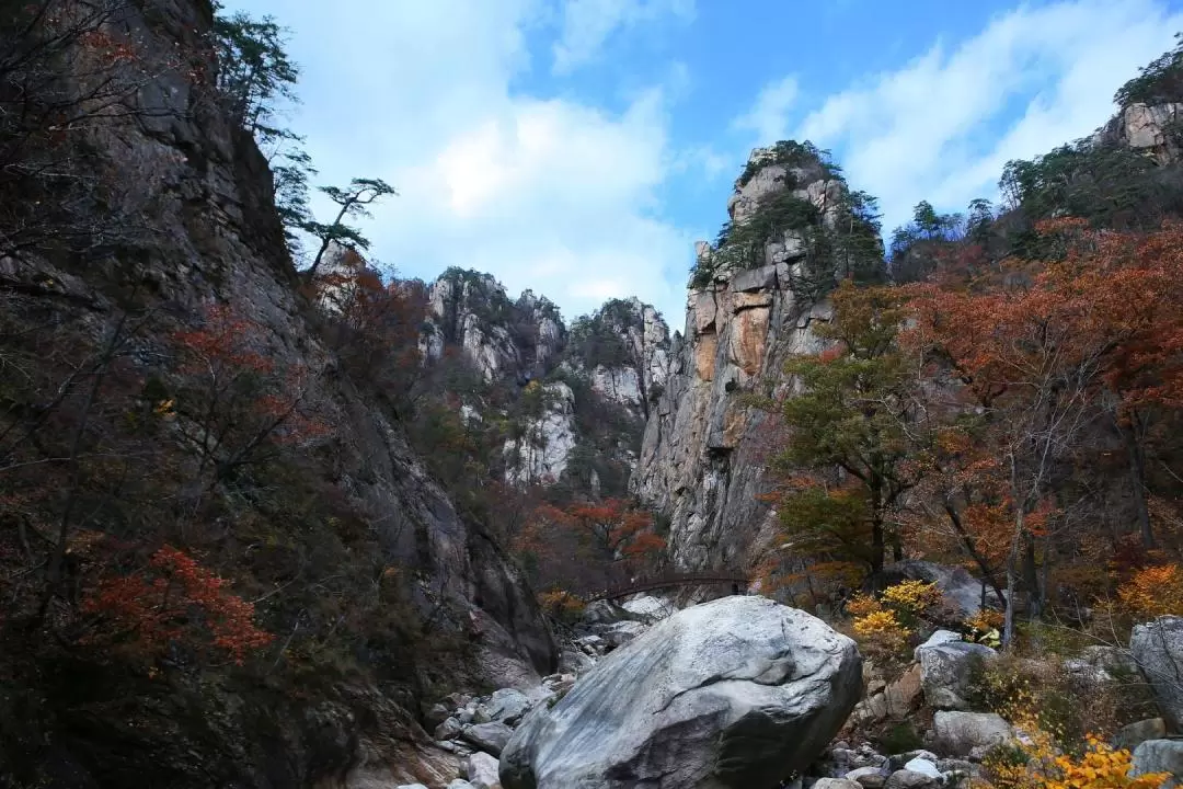 雪嶽山 & 龍門寺銀杏樹賞秋體驗