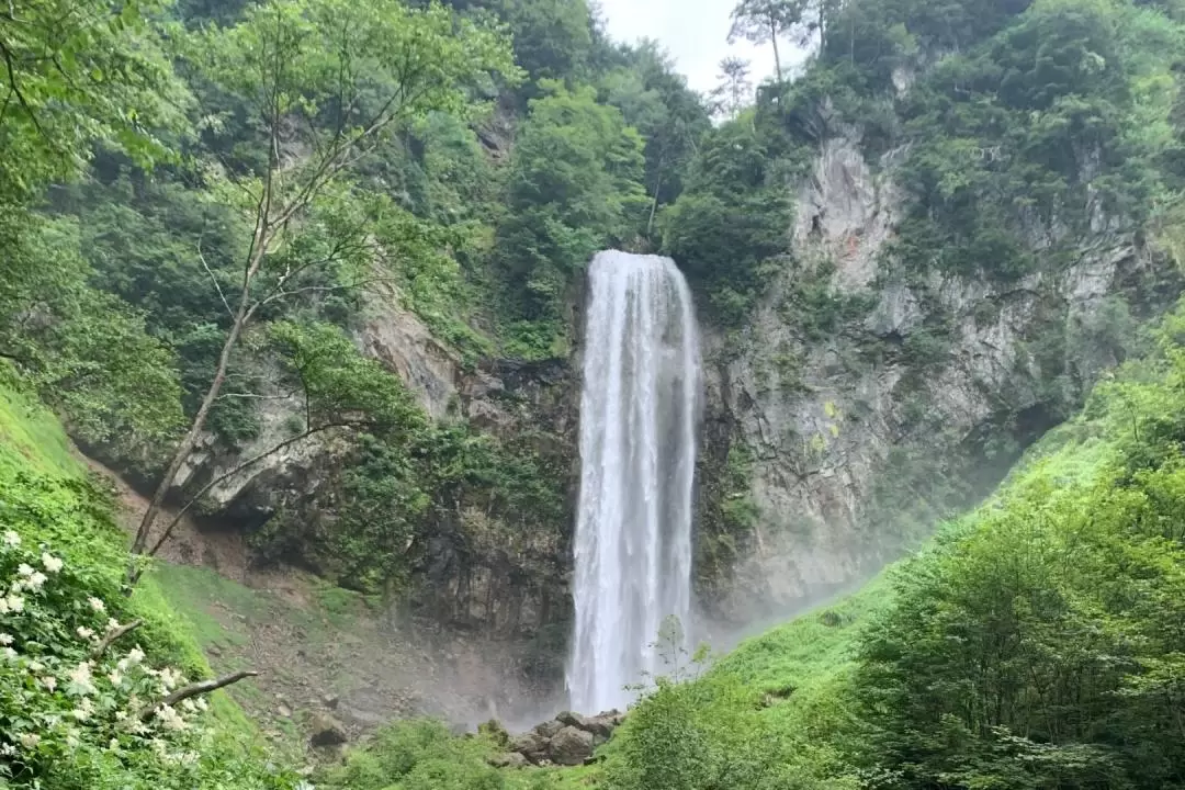 高山健行之旅（含缆车体验）