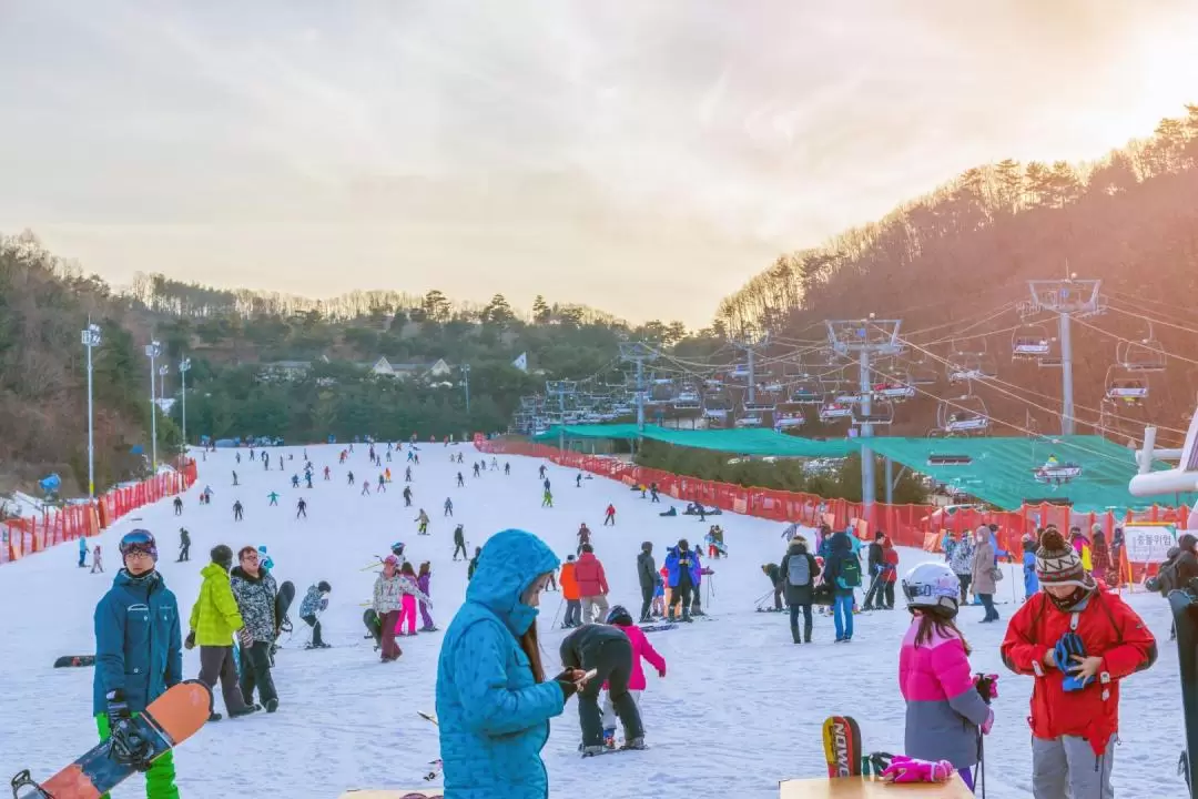 洪川大明維瓦爾第滑雪度假村＆奧麗山莊滑雪度假村＆伊利希安江村滑雪度假村包車遊