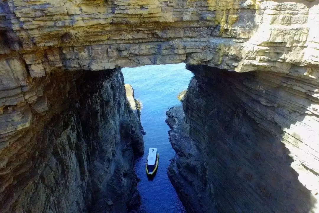 Bruny Island 3-Hour Wilderness Cruise from Hobart