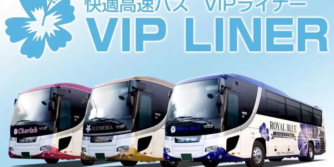 Nagoya - Hida-Takayama and Shirakawa-go Shared Bus by VIP Liner