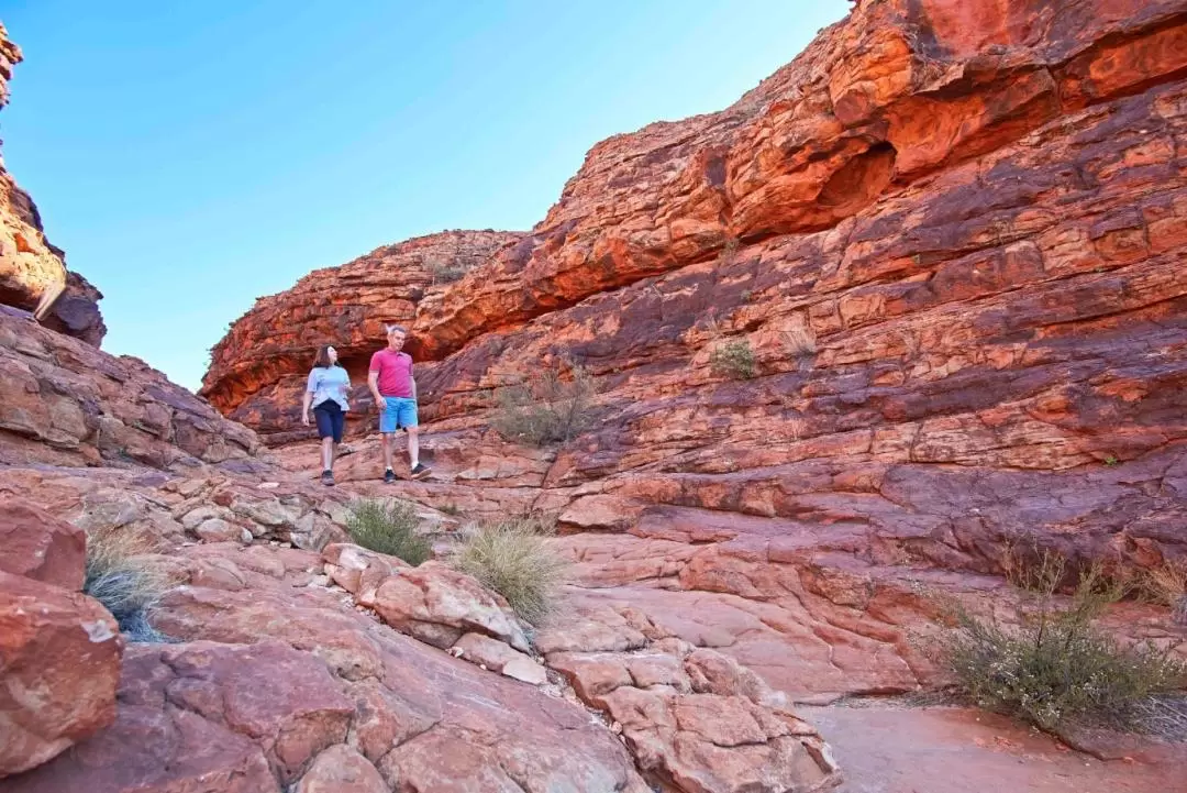 Kings Canyon and Outback Panoramas Tour from Alice Springs