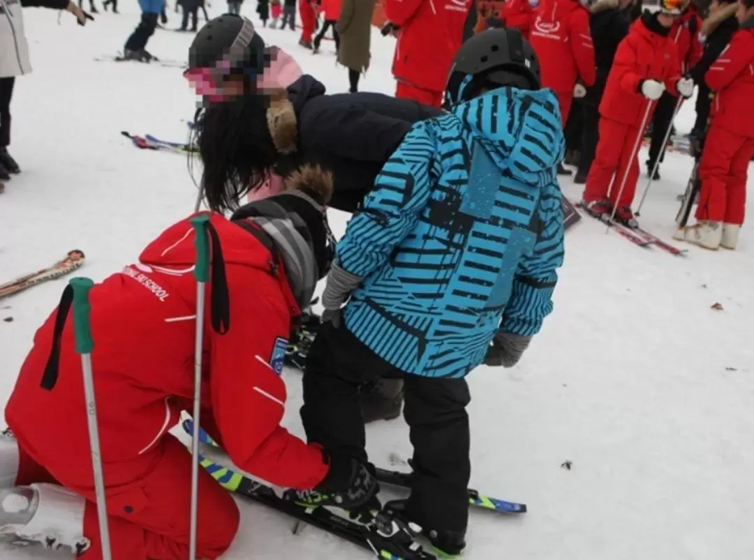 Vivaldi Park Ski Private Lesson with Full Package