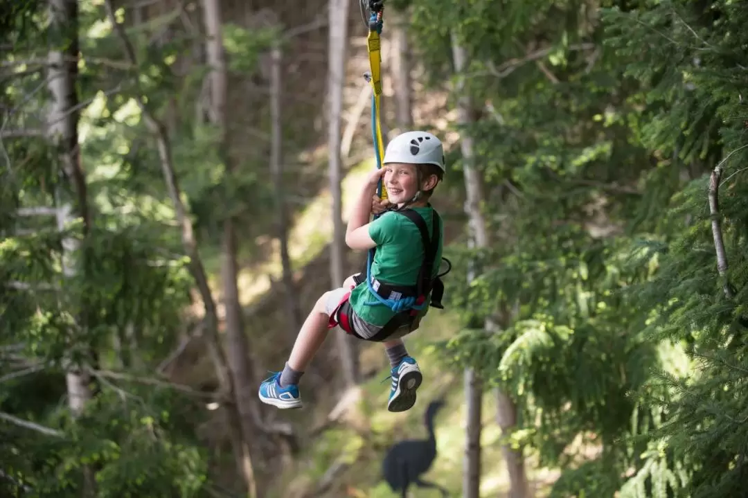 皇后鎮叢林飛索體驗（Ziptrek 提供）