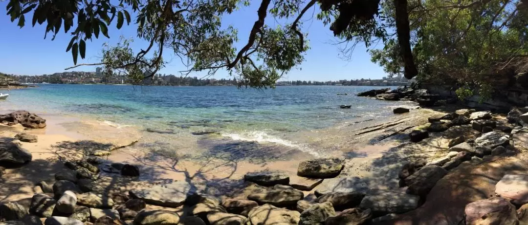 Guided Kayak Tour from Manly Beach