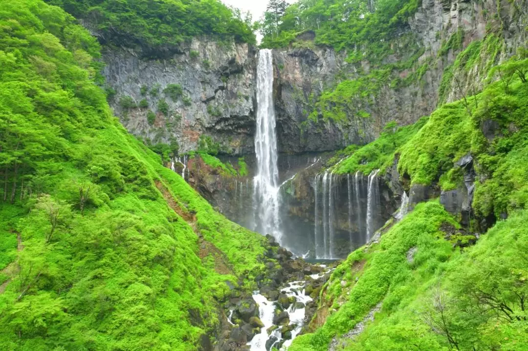 Nikko Day Tour from Tokyo