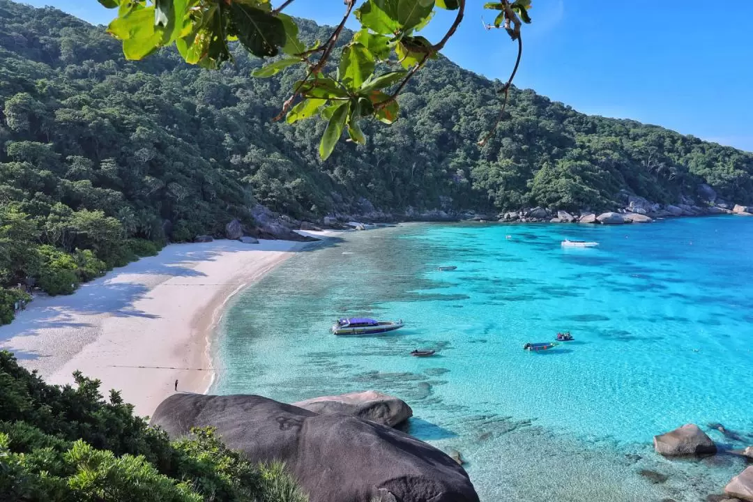 【純玩·全年不加價】泰國普吉島5天4晚半自由行皇帝島/皮皮島出海遊含餐