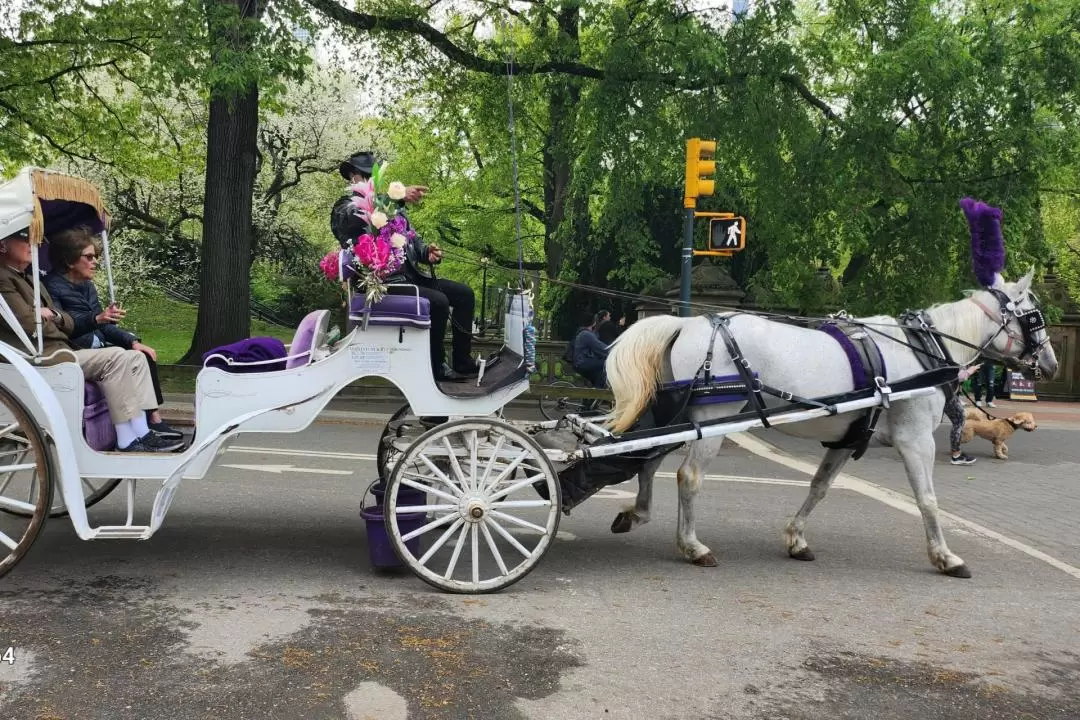 Standard Central Park Horse Carriage Ride Experience in New York