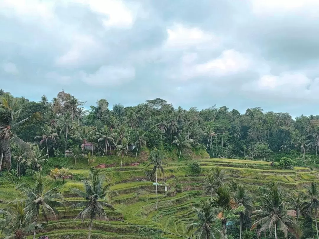 Best of Bali Day Tour for Korean Couple