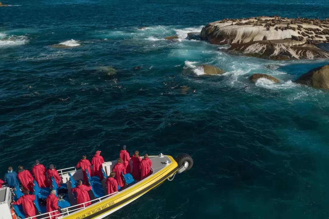 Wilsons Promontory Wildlife Cruise 