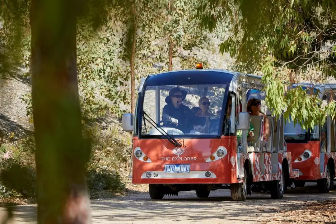 Royal Botanic Gardens Cranbourne Tour