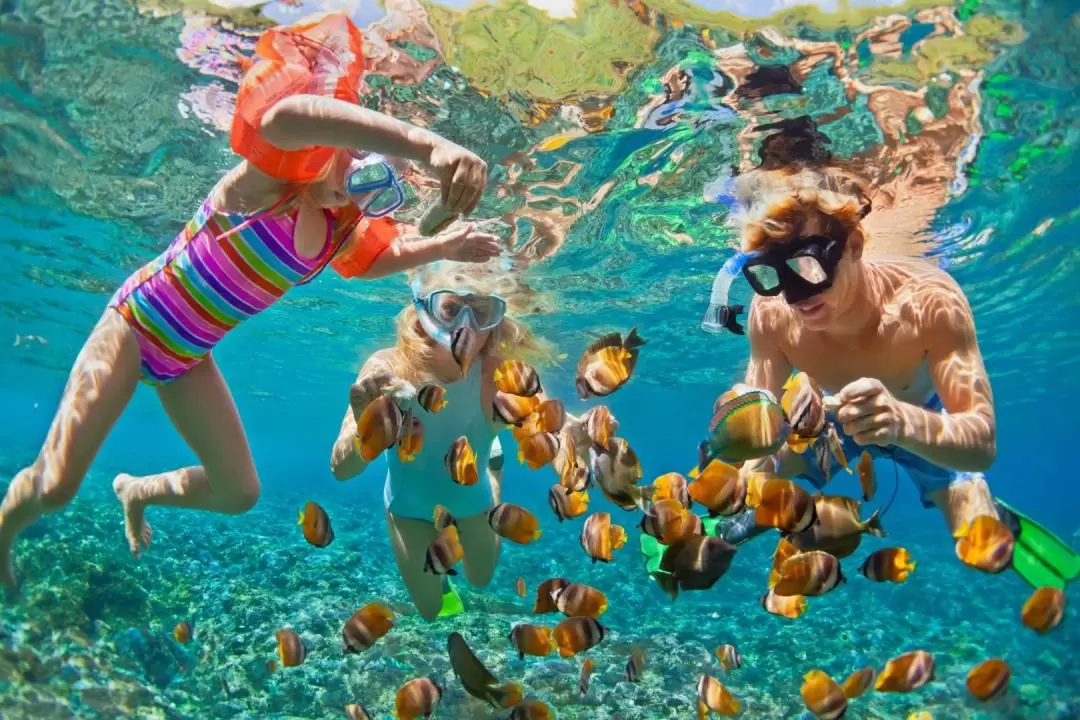 Nusa Lembongan Snorkeling & Mangrove Day Tour