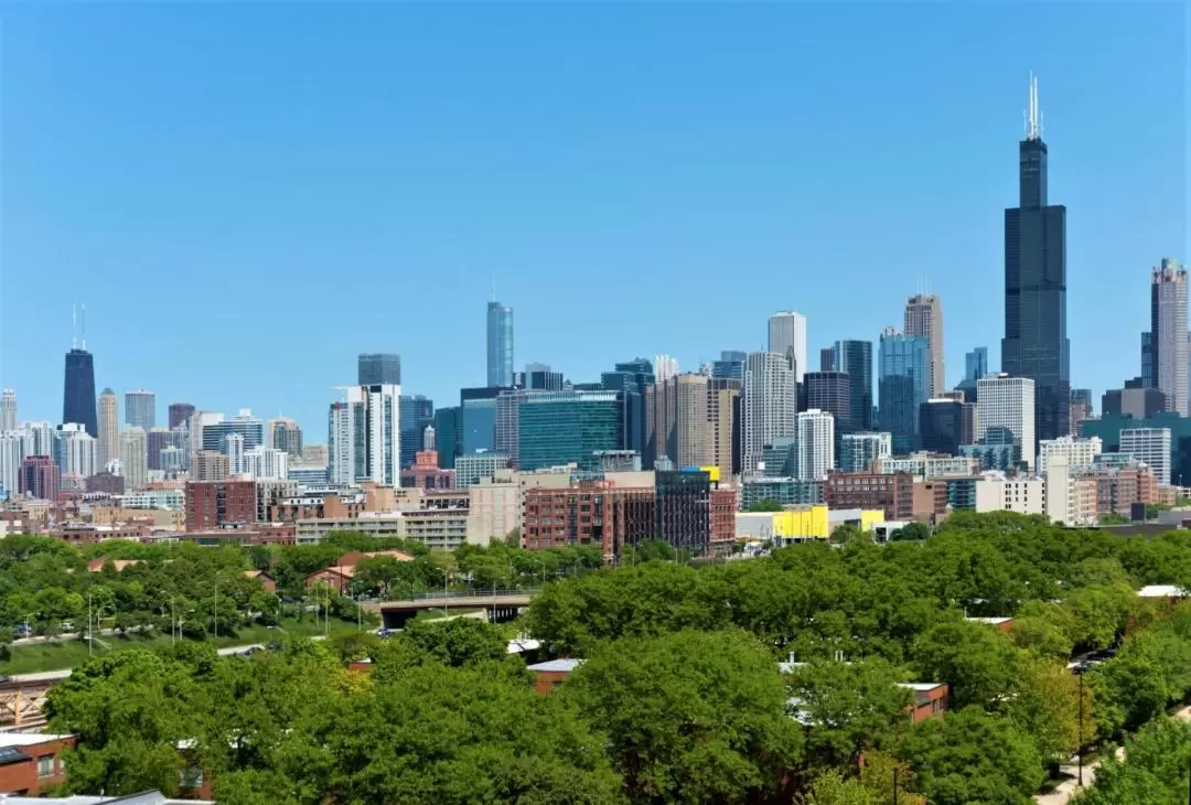 Chicago Big Bus Hop-On Hop-Off Tours (Open-Top)