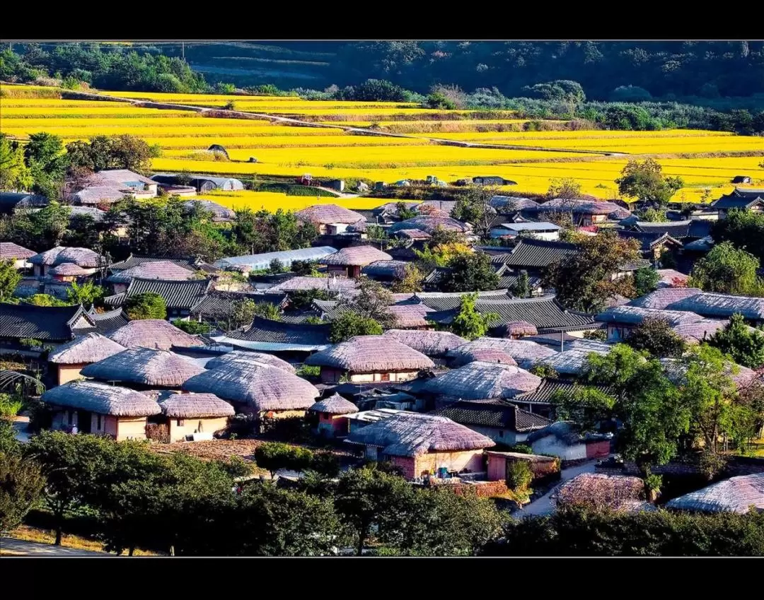 Andong Hahoe Folk Village Tour