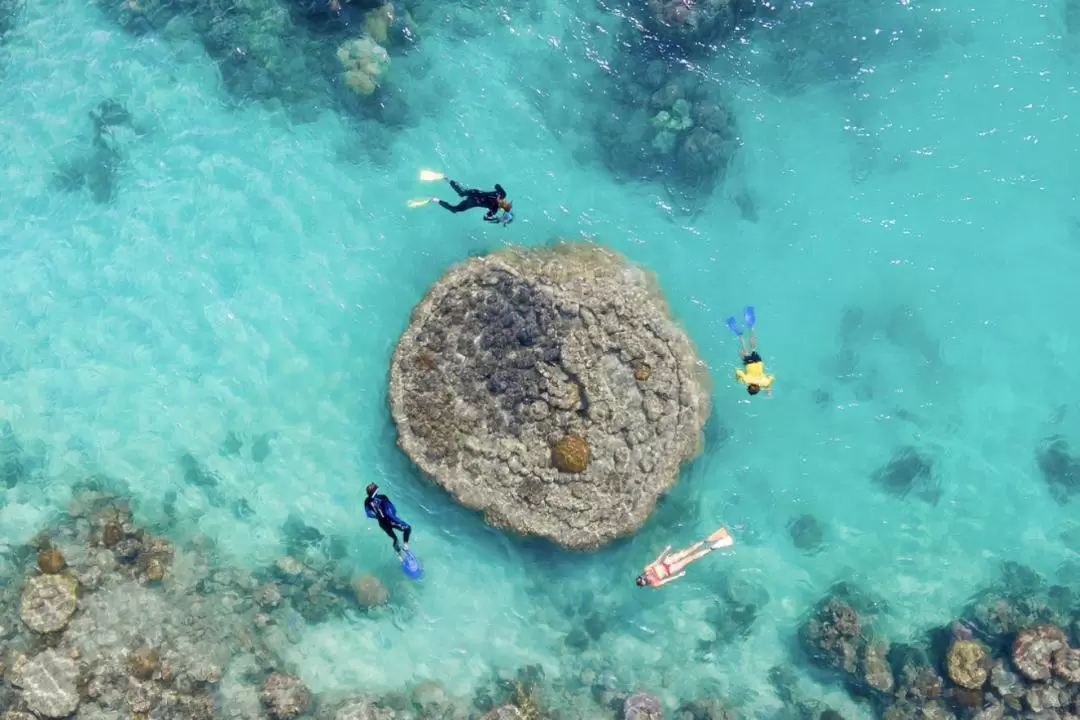 聖靈群島直升機觀光＆快艇之旅