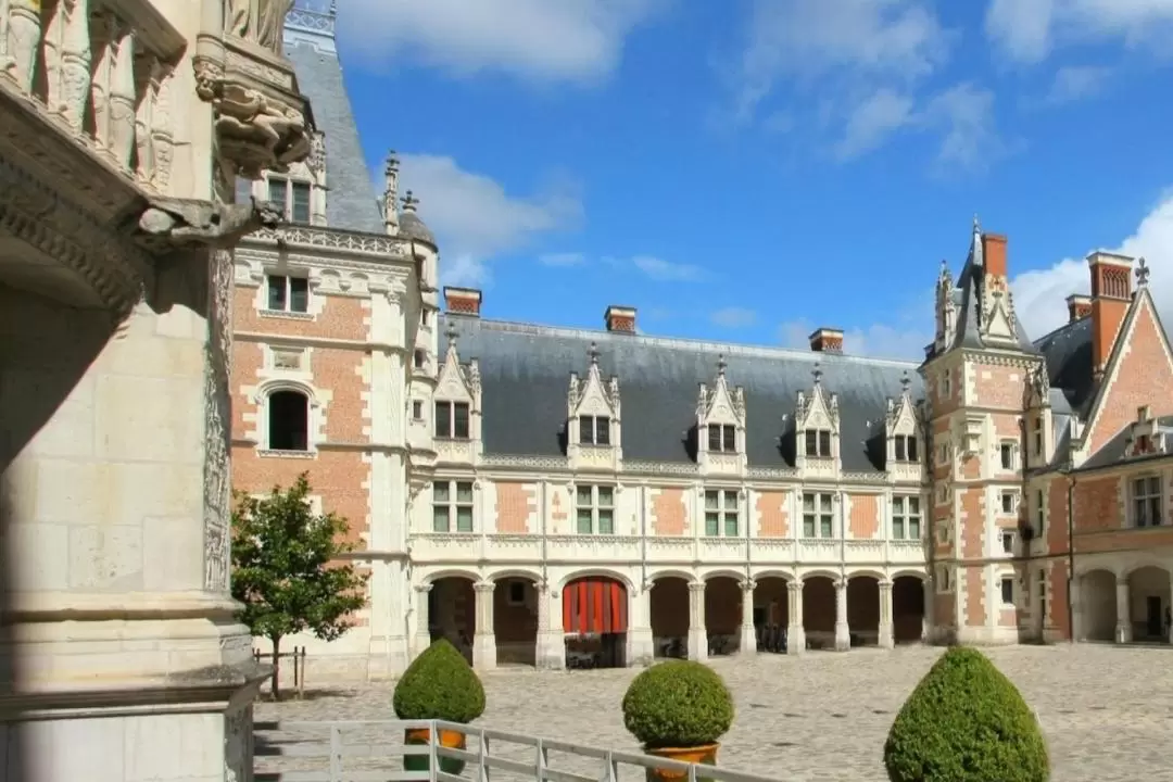 Chateau Royal de Blois Admission in Blois