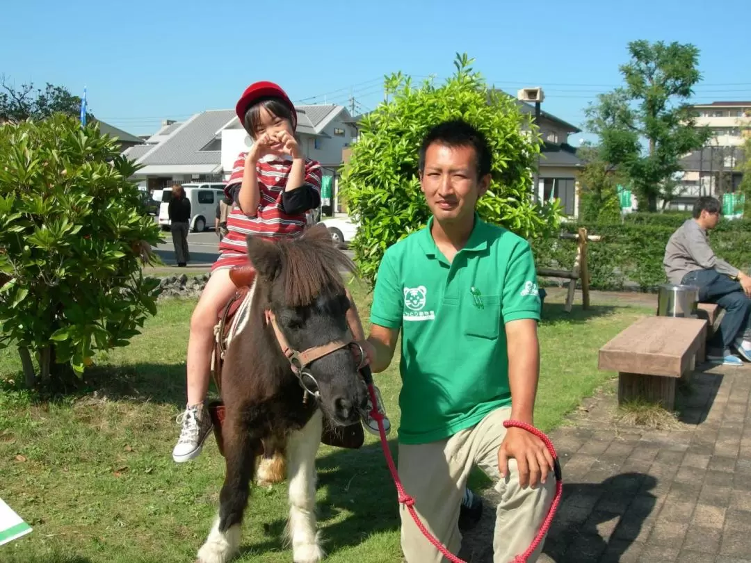 東香川白鳥動物園門票