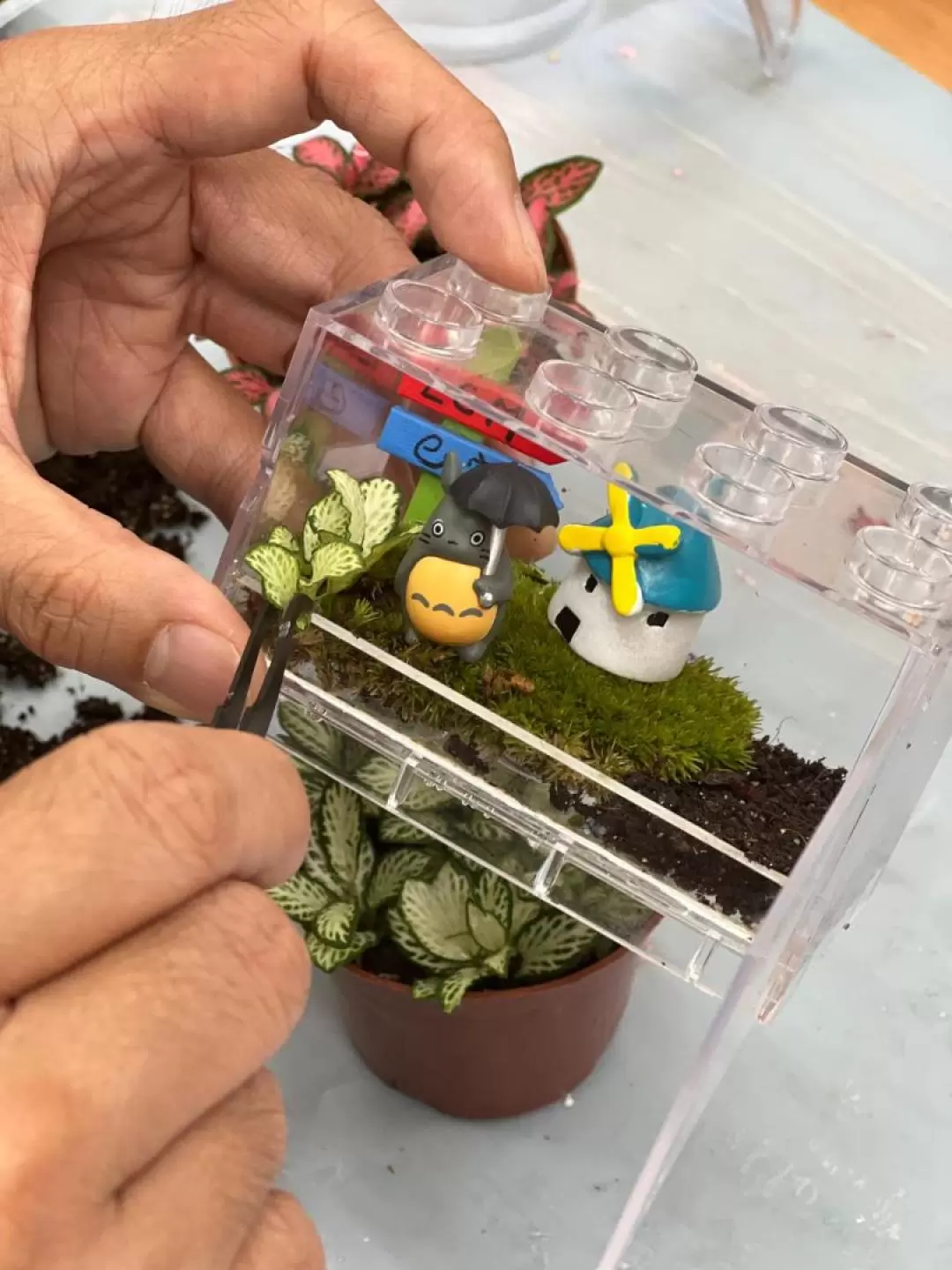 手作班房 - 微景觀植物生態工作坊 Mini Terrarium Workshop｜銅鑼灣