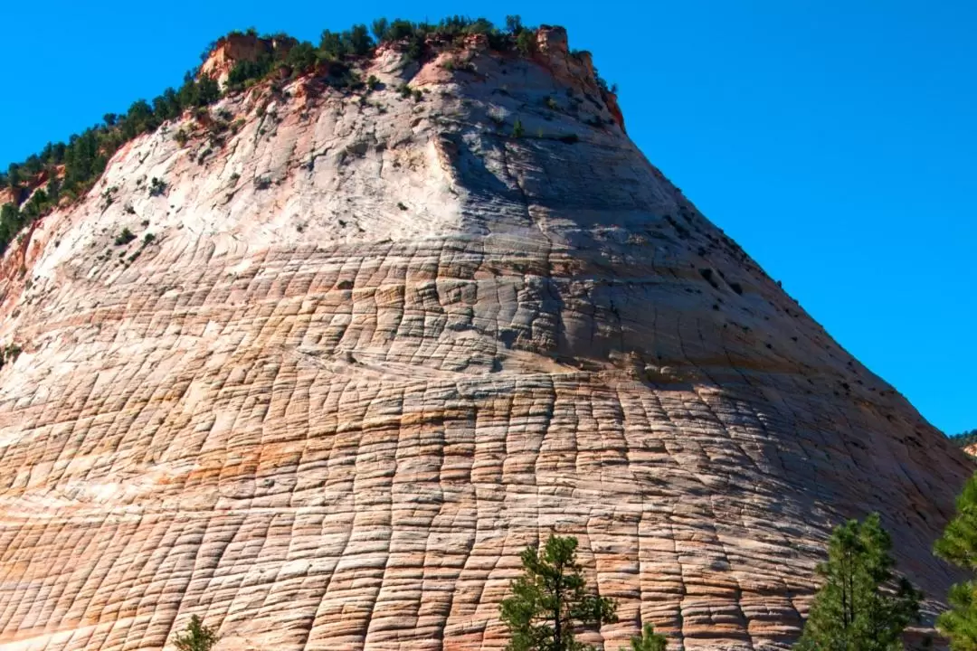 Zion National Park Day Tour from Las Vegas