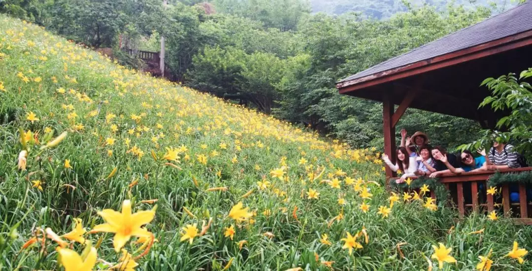 台中沐心泉休閒農場門票