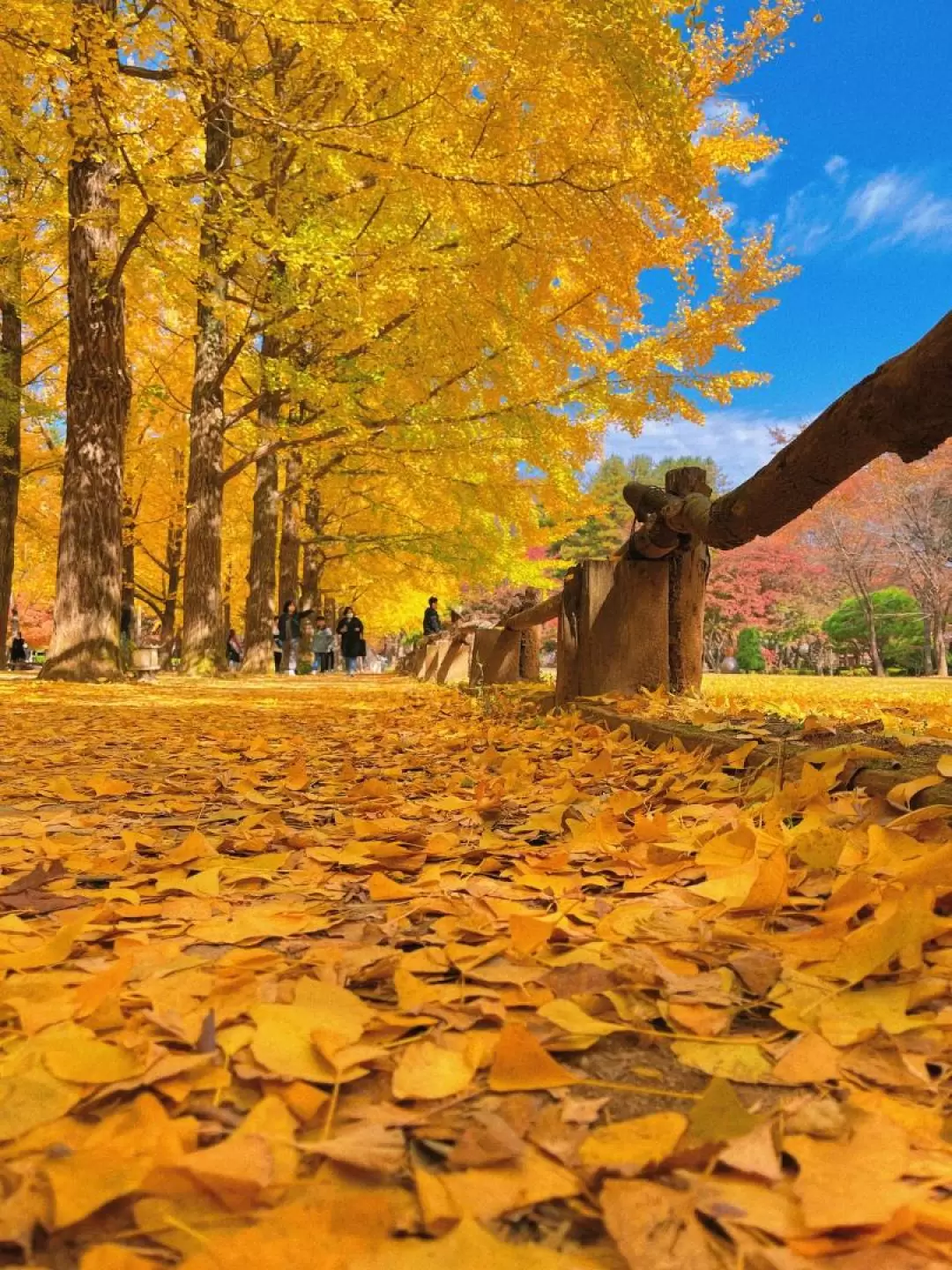 Nami Island - Petite France Village & Italian Village Van