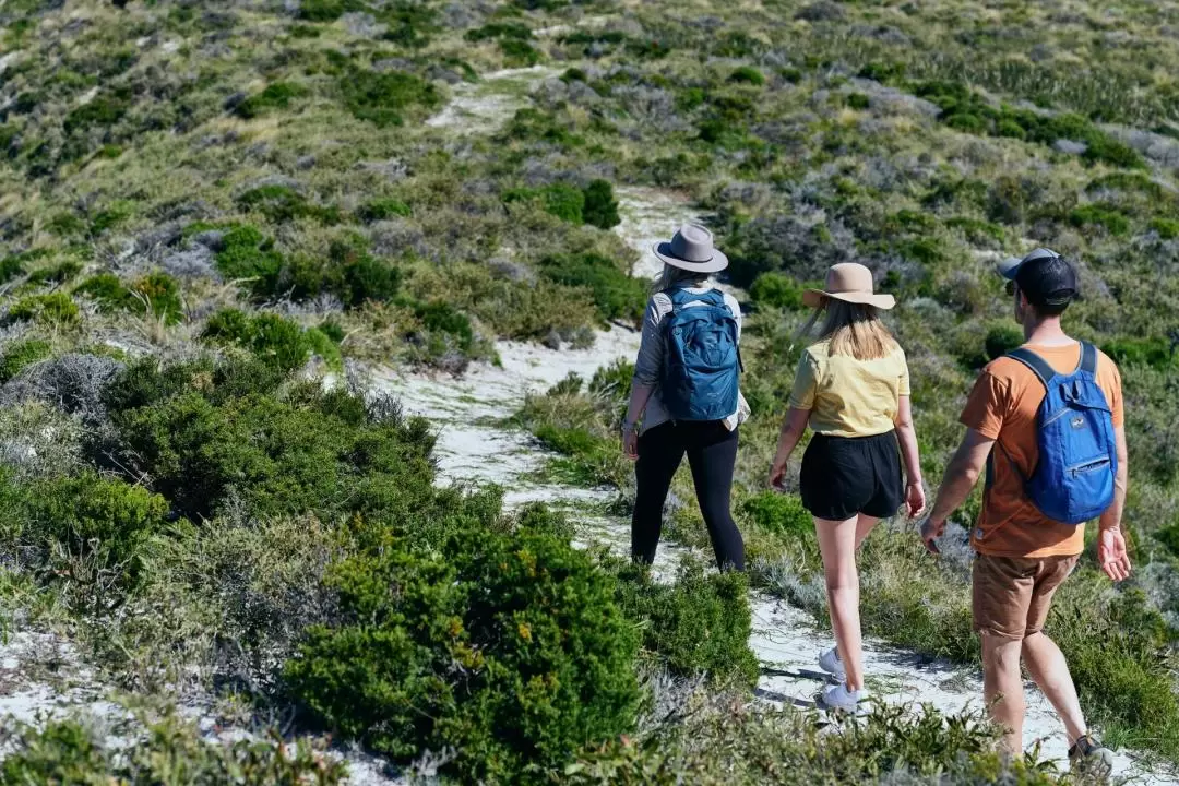 Lakes and Bays Guided Hike on Rottnest Island 