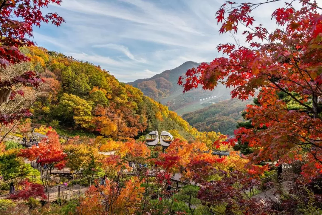 和談林植物園 & 南漢山城 & 愛寶樂園一日遊