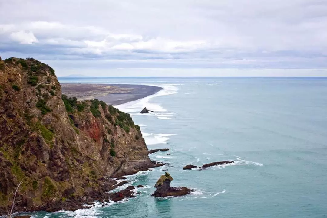 Auckland Coast and Rainforest Day Tour